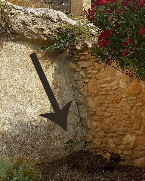 20170626_103243 cropped