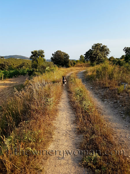 20170623_195149(0).2