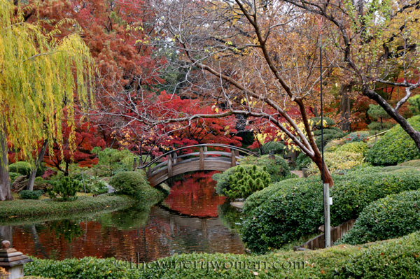 Japanese-Garden052