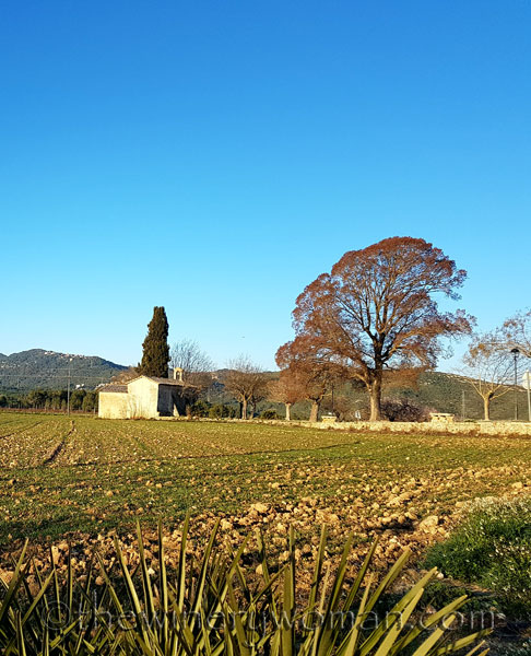 Blue-sky_2.22.18_TWW