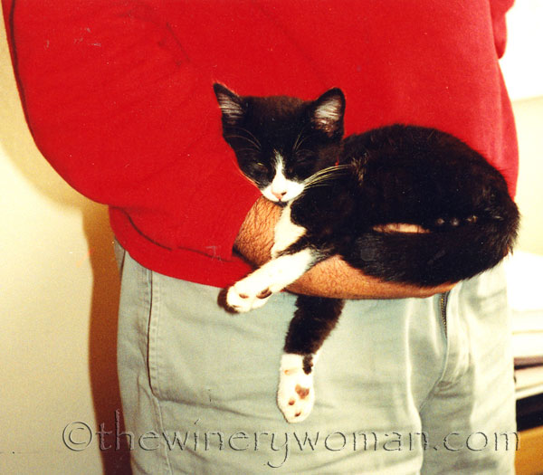 Cfor-asleep-in-Dad's-hand_TWW