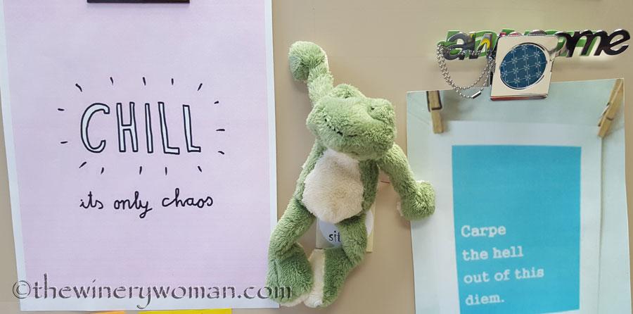 Friday-Frog-wisdom_TWW