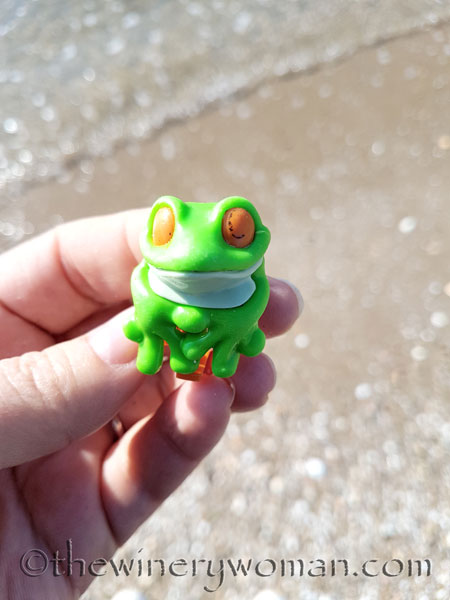 Froggie-on-the-beach_TWW