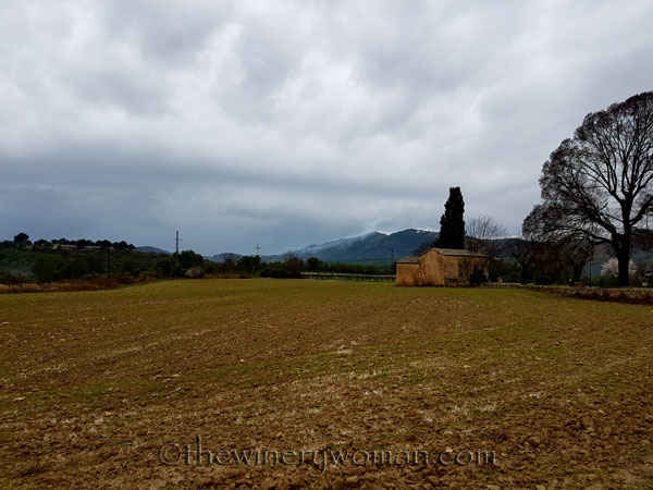 Viladellops-Vineyard10_2.5.18_TWW