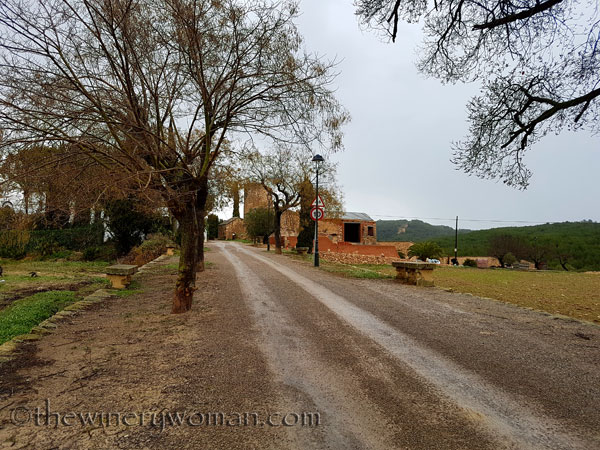 Viladellops-Vineyard5_2.5.18_TWW