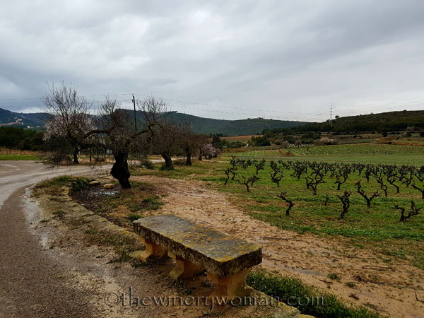 Viladellops-Vineyard8_2.5.18_TWW