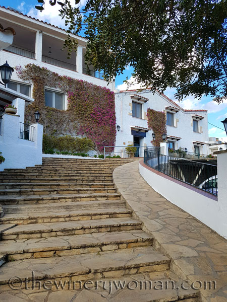 Can-Lloses-Lunch2_TWW