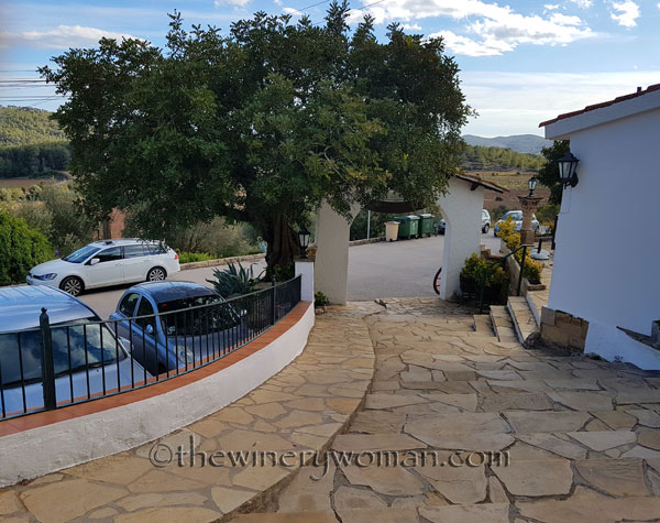 Can-Lloses-Lunch4_TWW