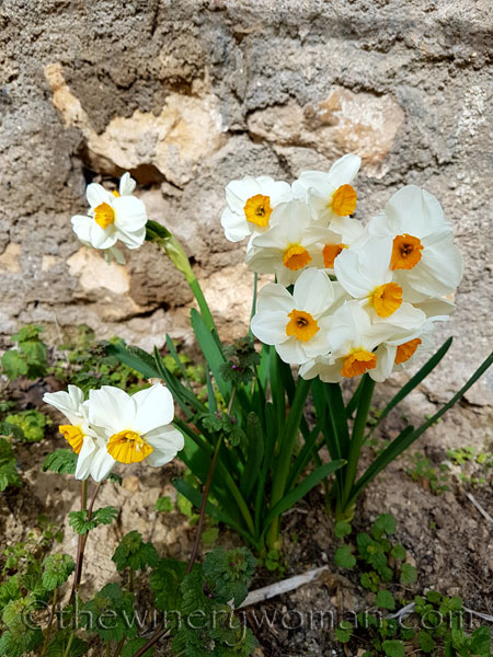 First-day-of-Spring-2018_14_TWW