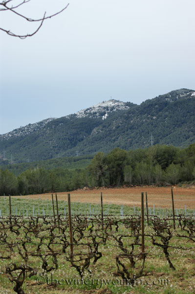 First-day-of-Spring-2018_3_TWW