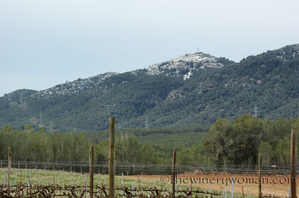 First-day-of-Spring-2018_TWW