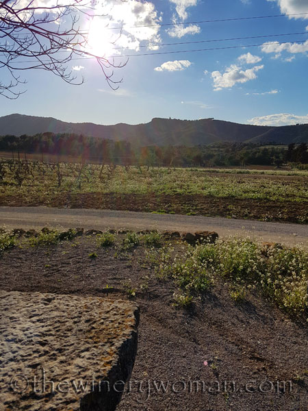 Sitges11_3.13.18_TWW