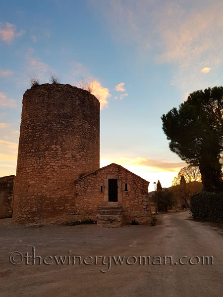 Tower_eyelashes2_3.12.18_TWW