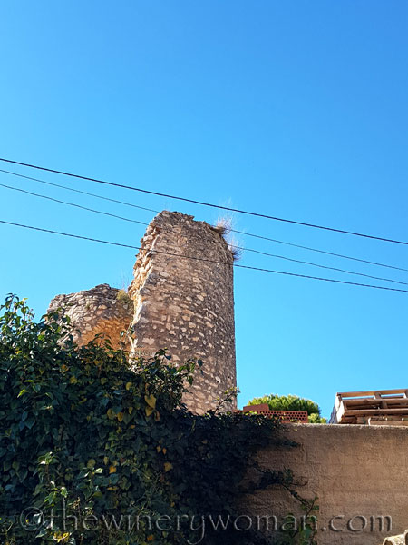 Tower_eyelashes9_3.12.18_TWW