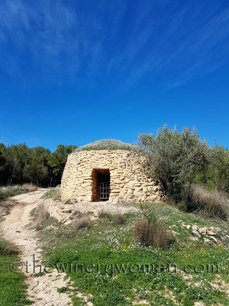 Vineyard15_3.10.18_TWW