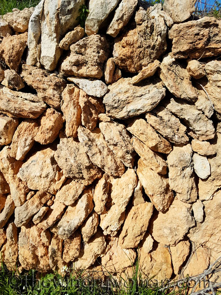 Vineyard16_3.10.18_TWW