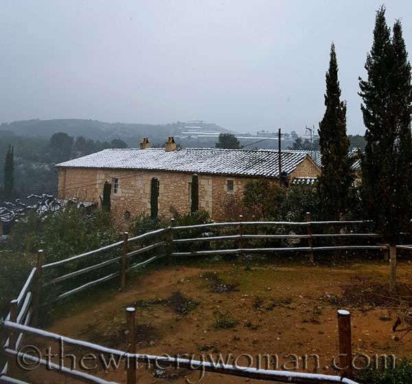 Vineyard_snow18_2.28.18_TWW