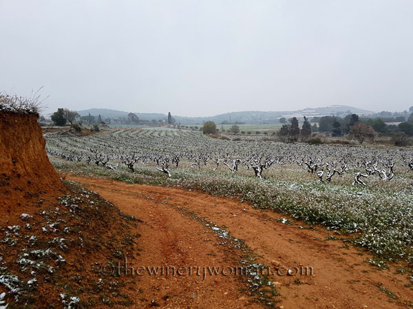 Vineyard_snow8_2.28.18_TWW