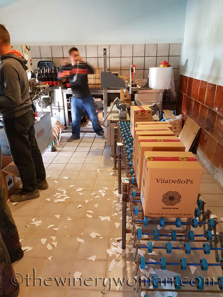 Bottling6_3.2018_TWW