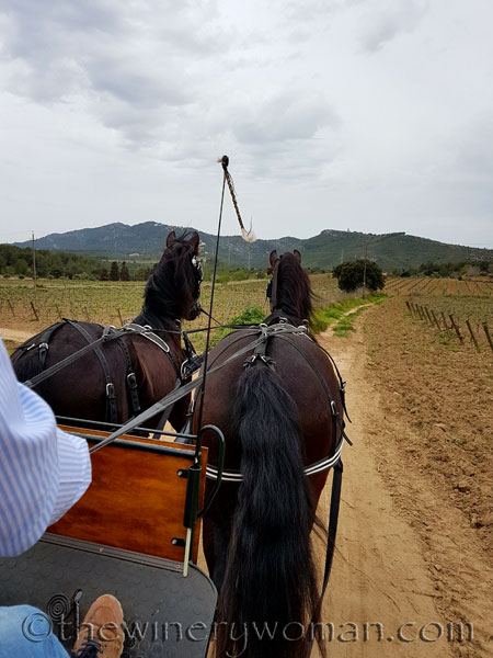 Museum-and-La-Cantina12_4.6.18_TWW