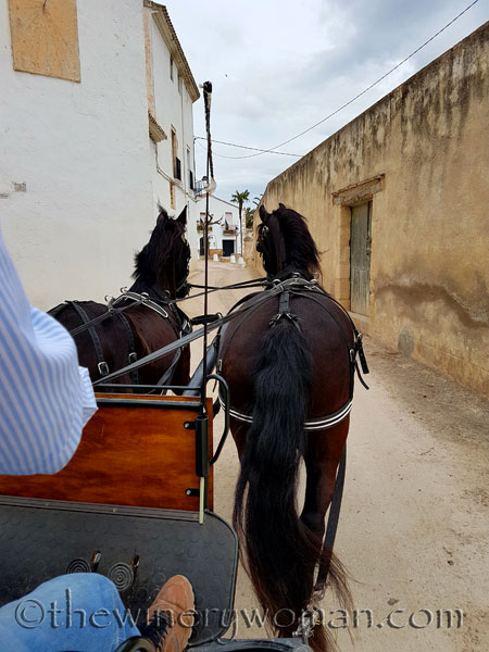 Museum-and-La-Cantina15_4.6.18_TWW