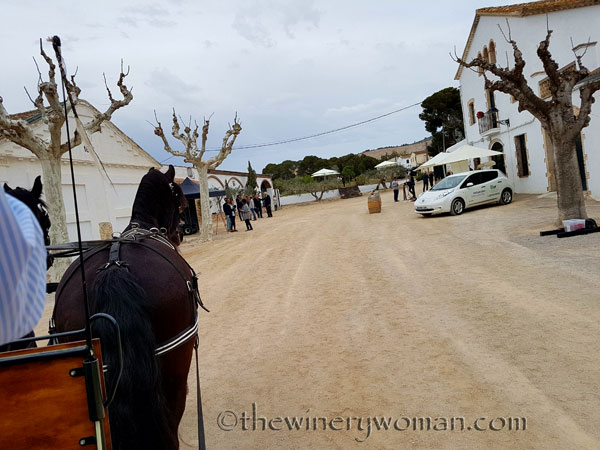 Museum-and-La-Cantina16_4.6.18_TWW