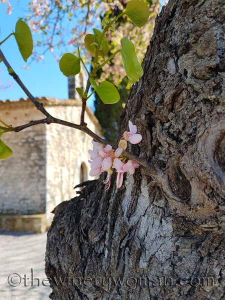 Spring10_4.17.18_TWW