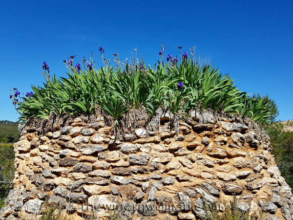 Sun-Day17_4.15.18_TWW