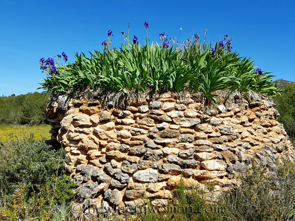 Sun-Day18_4.15.18_TWW