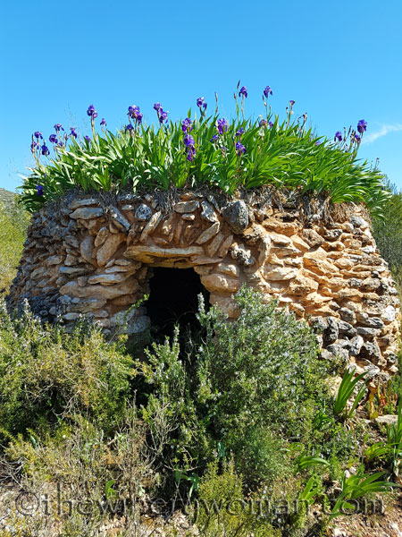 Sun-Day19_4.15.18_TWW