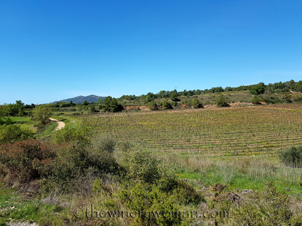 Sun-Day7_4.15.18_TWW