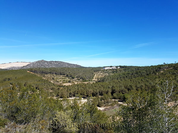 Valldosera_4.1.18_TWW