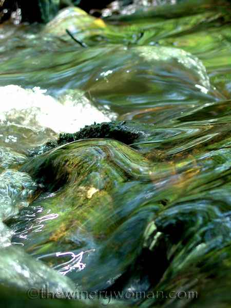 BeaverCreek_Cobbtown_GA_3_2007_TWW