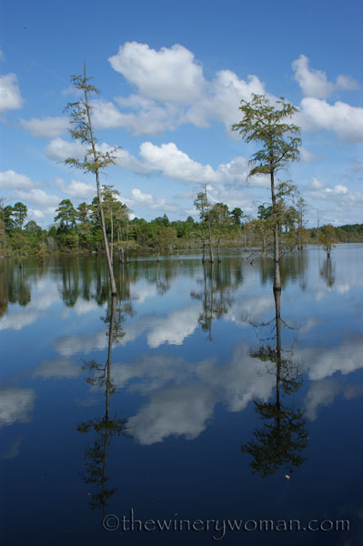 Canoe-Pond_GA_2009_TWW