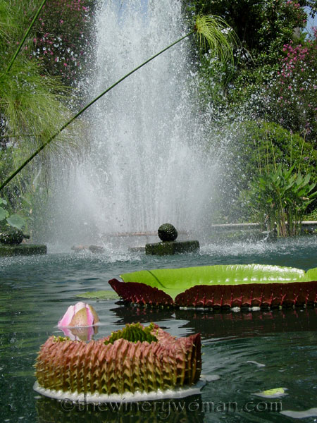 Houmas-House_LA_2_2007_TWW