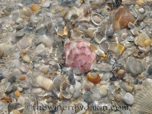 Jacksonville-Beach_FL_2004_TWW