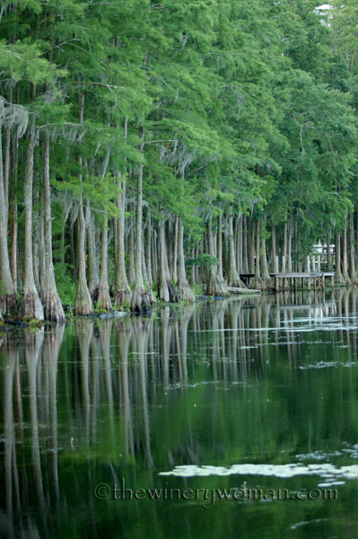 Kennedy-Pond_7.08_TWW