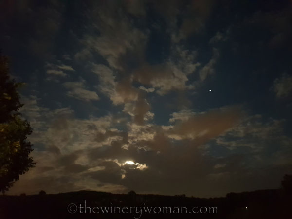 La-Luna5_5.29.18_TWW