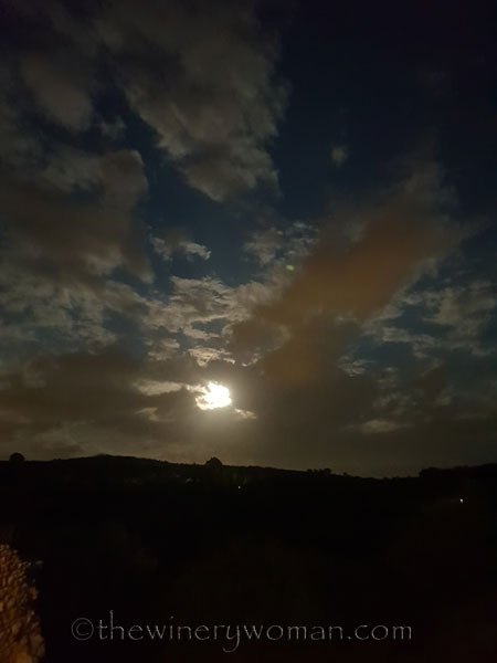 La-Luna7_5.29.18_TWW