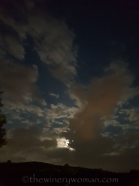 La-Luna9_5.29.18_TWW