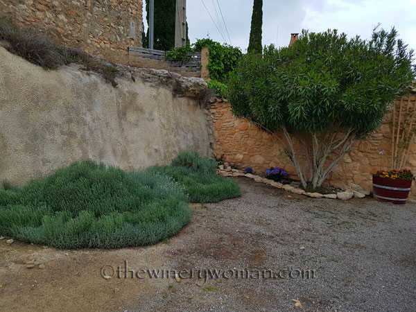 Rockery11_5.7.18_TWW