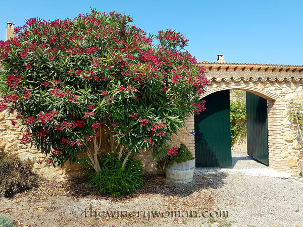 Rockery2_6.21.17_TWW