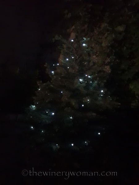 Tree-lights_5.29.18_TWW
