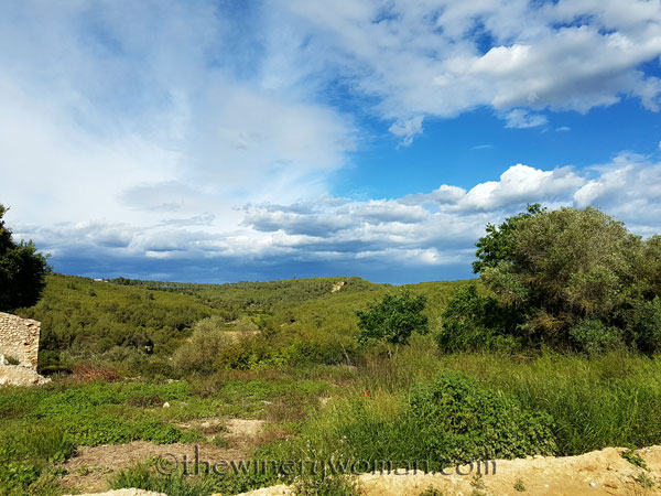 Views-of-home2_5.14.18_TWW