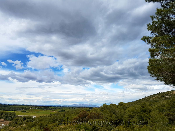 Views-of-home_5.14.18_TWW