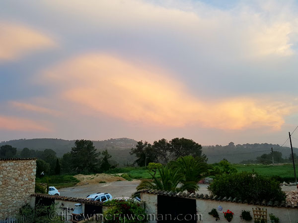 Vineyard-walk19_5.8.18_TWW