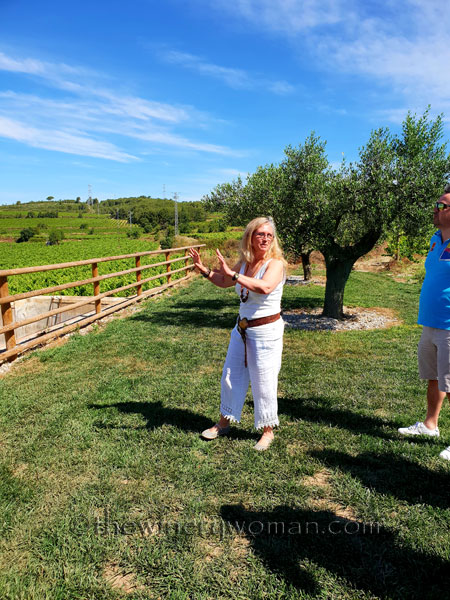 Finca_Viladellops_Tour2_6.18.18_TWW