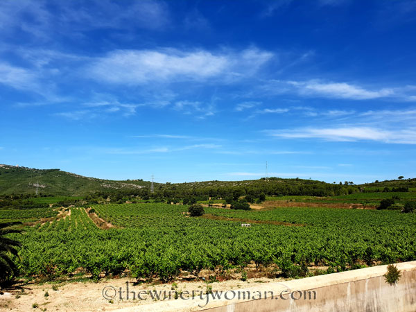 Finca_Viladellops_Tour3_6.18.18_TWW