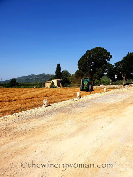 Hay_Harvest6_6.30.18_TWW