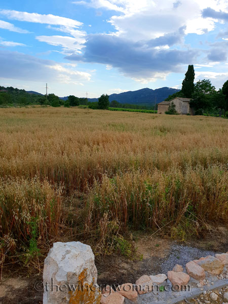 Hay_Harvest_6.30.18_TWW
